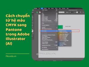 Chuyển hệ màu CMYK sang Pantone trên AI