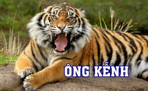 Hình ảnh ông kễnh - ông cọp